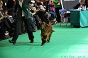 Crufts2011 771